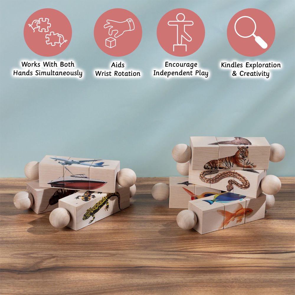 Rotating Puzzle-Modes of Transport